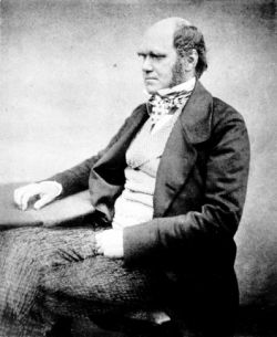 Charles Darwin around the time he wrote Origin of Species
