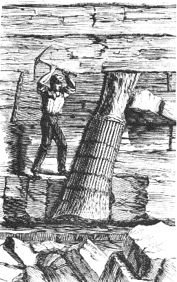 J.W. Dawson sketch of polystrate fossil tree