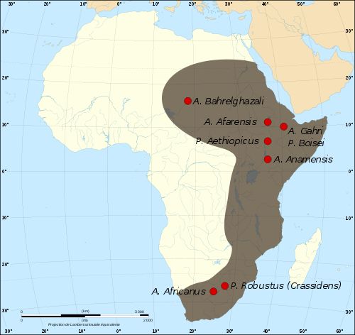 Map of early hominid sites in east and south Africa