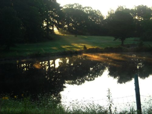 Pond in Selmer, Tennessee