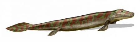 Tiktaalik