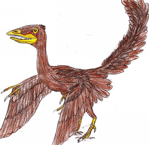 Archaeopteryx lithographica paris