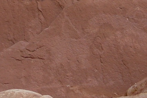 Kachina Bridge Dinosaur Petroglyph; is this a sauropod?