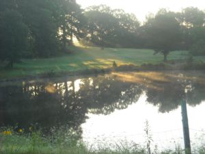 A pond in Selmer, Tennessee
