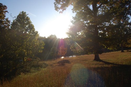 Sunset at Rose Creek Village by Nichole Park